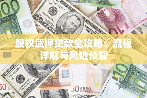 武汉股权质押贷款全攻略：流程详解与风险预警
