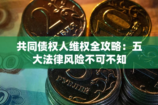 武汉共同债权人维权全攻略：五大法律风险不可不知