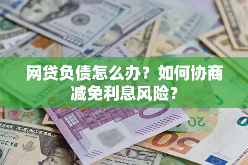 武汉网贷负债怎么办？如何协商减免利息风险？