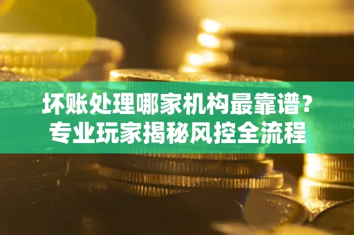 武汉坏账处理哪家机构最靠谱？专业玩家揭秘风控全流程