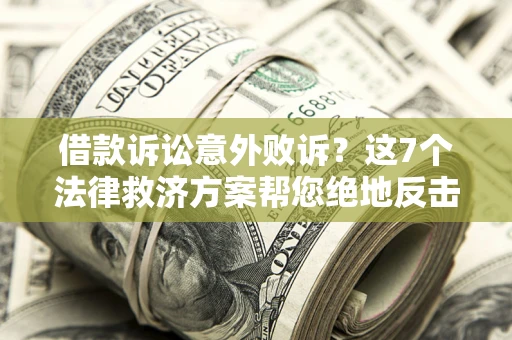 武汉借款诉讼意外败诉？这7个法律救济方案帮您绝地反击！