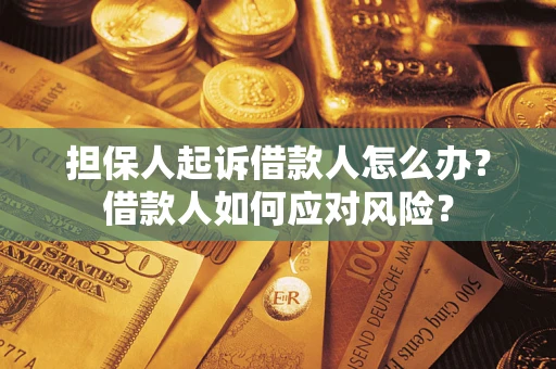 武汉担保人起诉借款人怎么办？借款人如何应对风险？