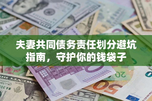 武汉夫妻共同债务责任划分避坑指南，守护你的钱袋子