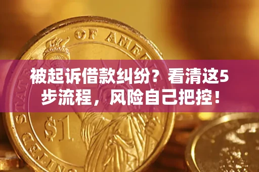 武汉被起诉借款纠纷？看清这5步流程，风险自己把控！