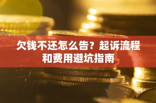 武汉欠钱不还怎么告？起诉流程和费用避坑指南