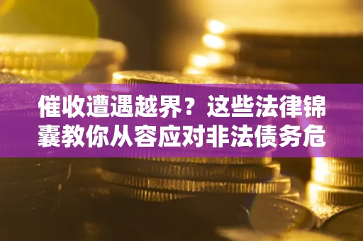 武汉催收遭遇越界？这些法律锦囊教你从容应对非法债务危机