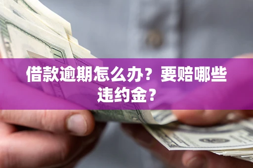 武汉借款逾期怎么办？要赔哪些违约金？