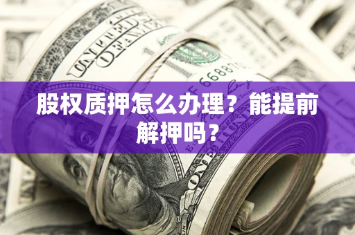 武汉股权质押怎么办理？能提前解押吗？